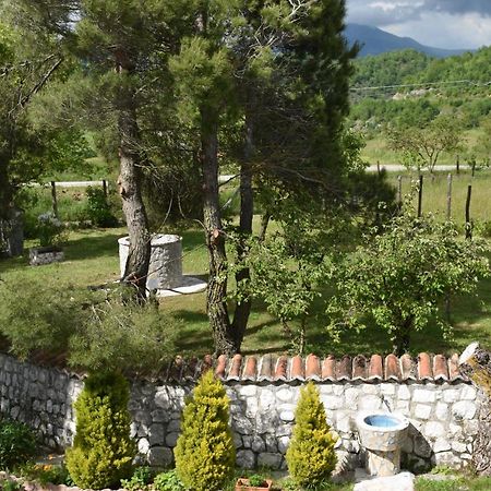 B&B Nel Verde Montesano sulla Marcellana Exterior foto