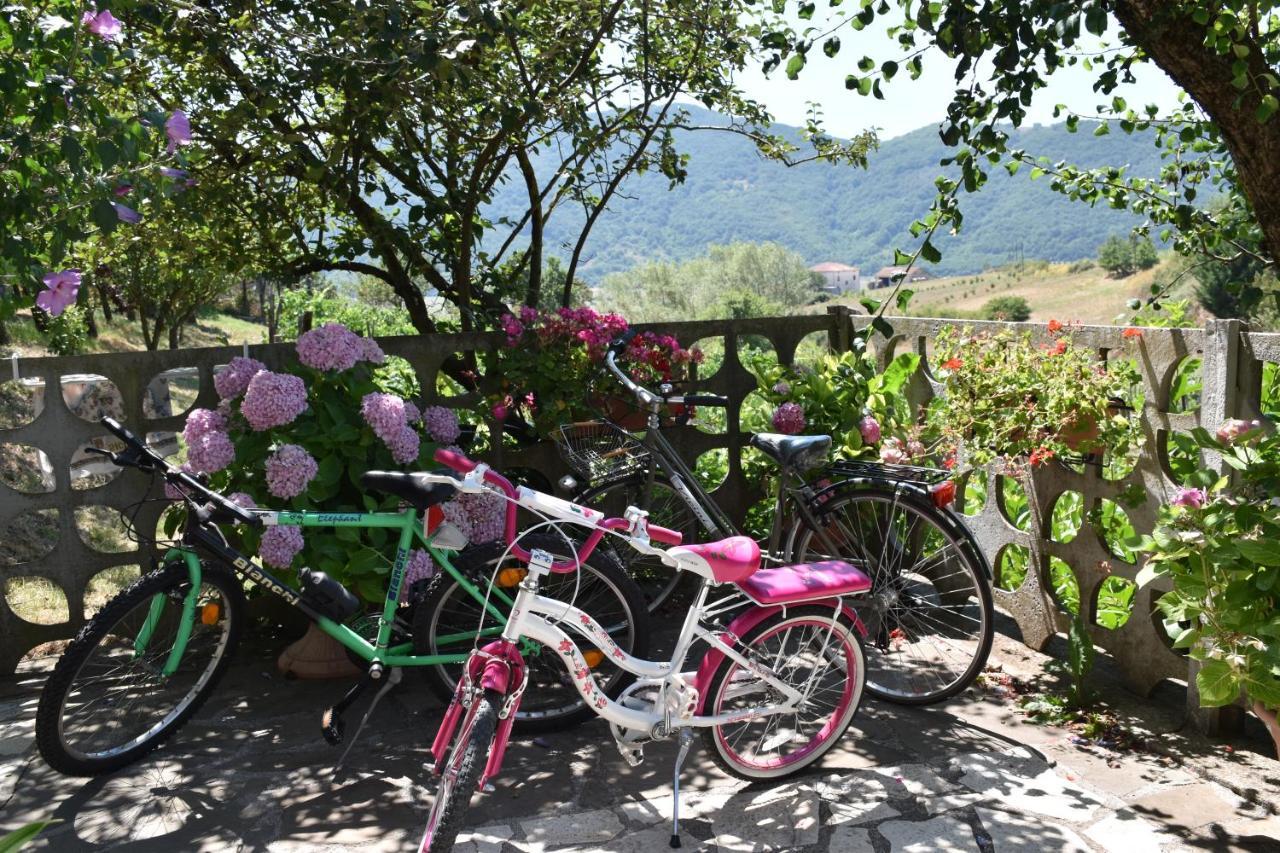 B&B Nel Verde Montesano sulla Marcellana Exterior foto
